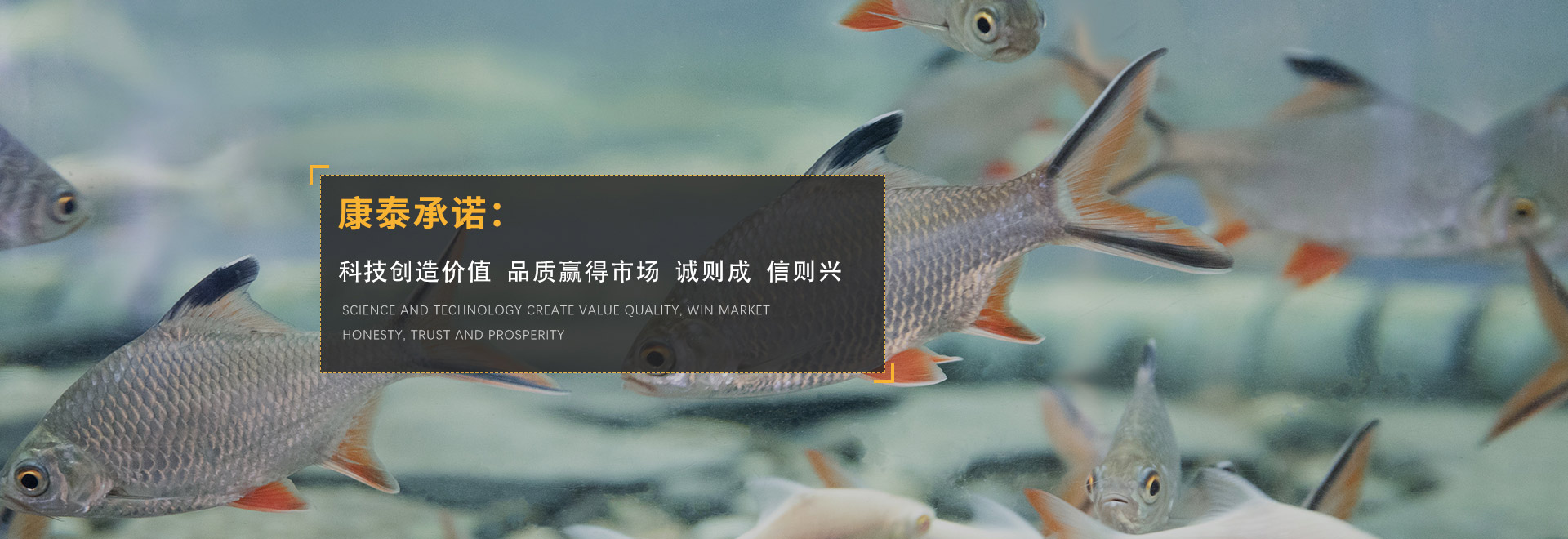 裝修現(xiàn)場001